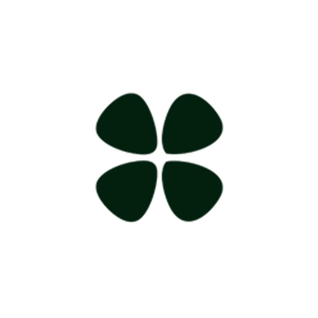 South Padel Logo